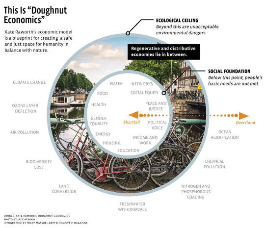 The visual idea of a doughnut: two concentric rings, the outer symbolizing the world’s ecological ceiling (beyond which lies environmental destruction and climate change), the inner symbolizing the social foundation (inside which is homelessness, hunger, and poverty). The space between the two rings—the “substance” of the doughnut—was the “safe and just place for humanity.”