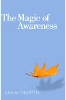 The Magic Of Awareness by Anam Thubten.