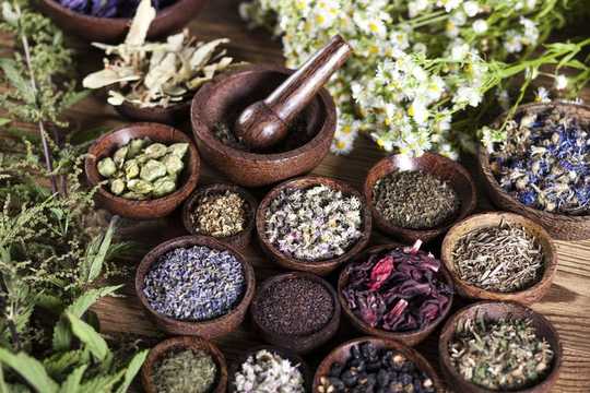 Traditional Medicines Should Be Integrated Into Health Care For Culturally Diverse Groups