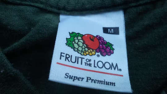 The Fruit of the Loom logo