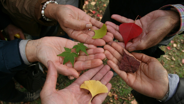 a circle of open hands each holding a leaf with a different color and shape